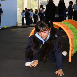 Día de la Actividad Física
